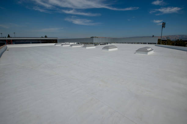 Best Roof Insulation Installation  in Oologah, OK
