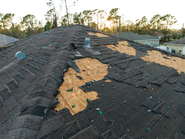 Best Chimney Flashing Repair  in Oologah, OK